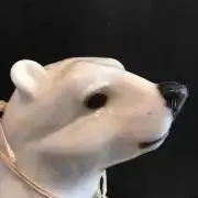 choiの画像