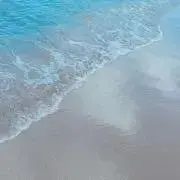 みみの画像