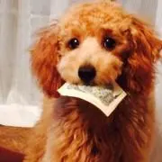 ベルモット