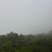 ぶたなしすぶたの画像
