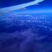 おガメの画像