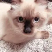 娜