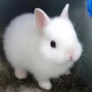 ゆ〜