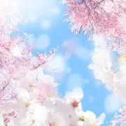 m.
