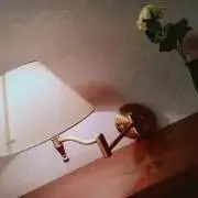 たったの画像