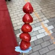 高橋拓也の画像