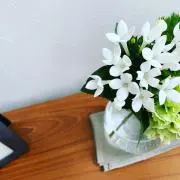 ROEの画像