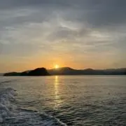 とと
