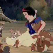 りんごの画像