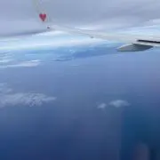 sakuraの画像