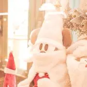 K.