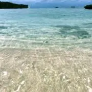 by the SEA.の画像