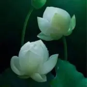 ここの画像