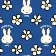 ＊sakura＊の画像