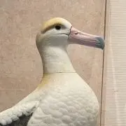 どらやきの画像