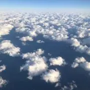 ミント⭐︎の画像