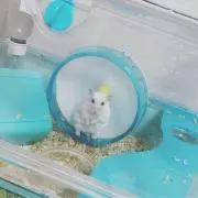 Zakの画像