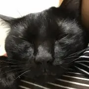 きみのり