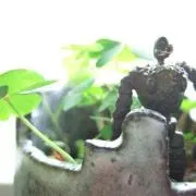 赤スーツ
