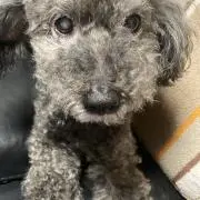 るんるるーの画像