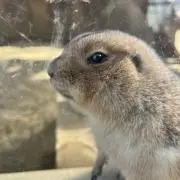 MIYAの画像