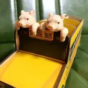 あきにゃんの画像