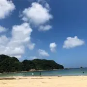 しゅーまいの画像