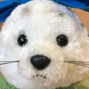 mitz