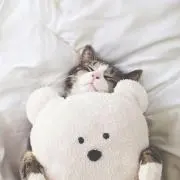 まよ