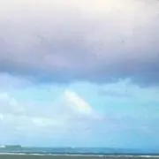 つぎこの画像