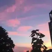 はしの画像