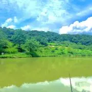 Luno