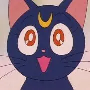 ねこの画像