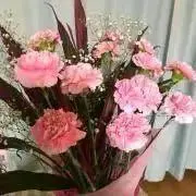happyの画像