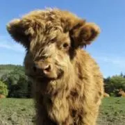 かみはまの画像