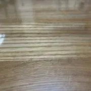 ひろまるぞうの画像