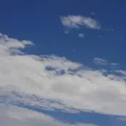 ココ☆の画像