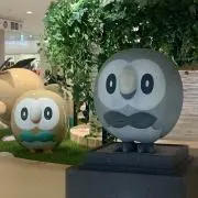 Shioの画像