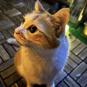 むっちん