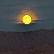 ふうの画像