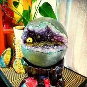 自然の宝物の画像