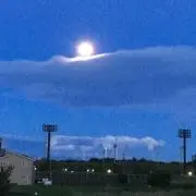 みきてぃ！の画像