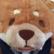 ぱんだの画像