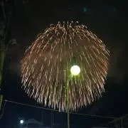 卵
