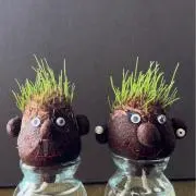 みょうがの画像