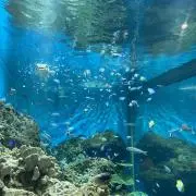 ⌘RAINBOW値下げ依頼からお気軽に⌘の画像