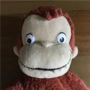 T Hの画像