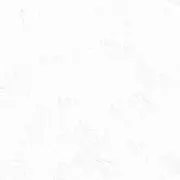 タキ