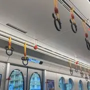 ナミの画像