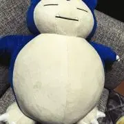 やどかびごんの画像